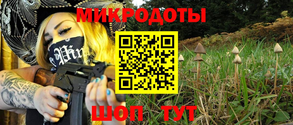 Псилоцибиновые грибы прущие грибы Видное